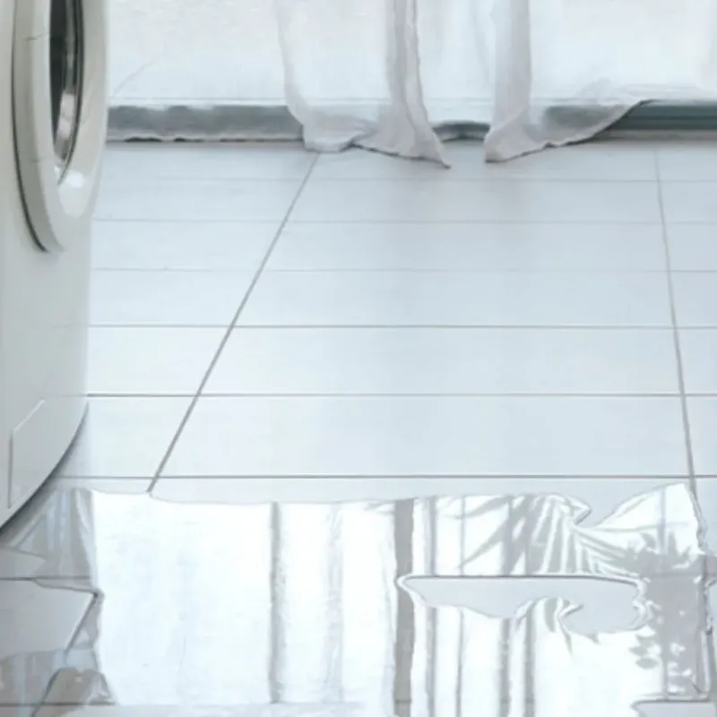 Appliance Leak Cleanup in Childress County, TX