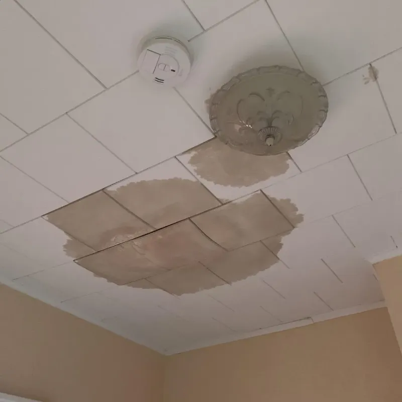 Ceiling Water Damage Repair in Childress County, TX