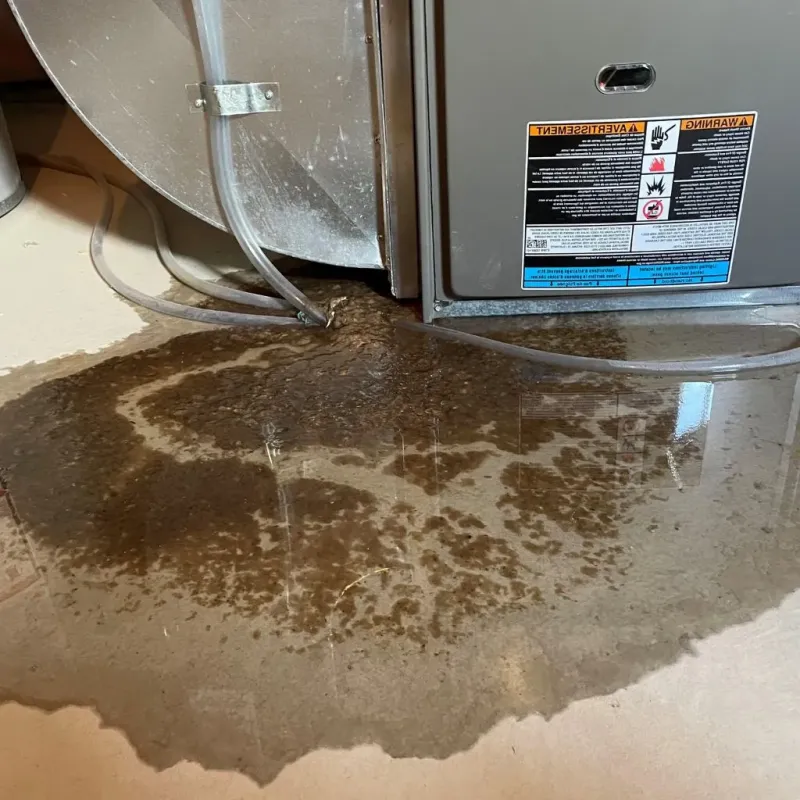 Pipe Burst and Leak Restoration in Childress County, TX
