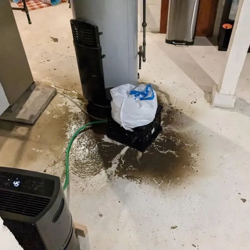 Sewage Backup Cleanup Service in Childress County, TX